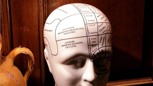 Mente cerebro identificacion personalizacion consciencia despertar pensamientos ego autoestima craneo cabeza dibujo maniqui medico doctor neurologia neuronas cerebro